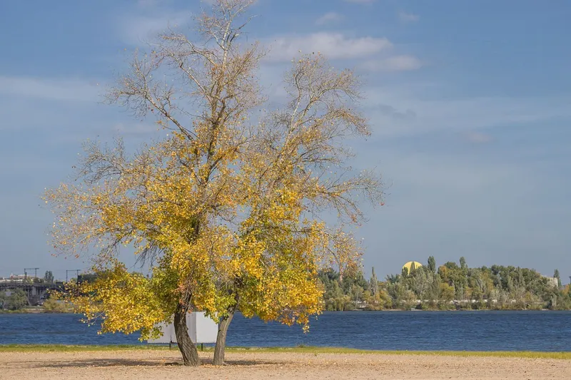 In Dnipro, explosions were heard in the morning on October 14